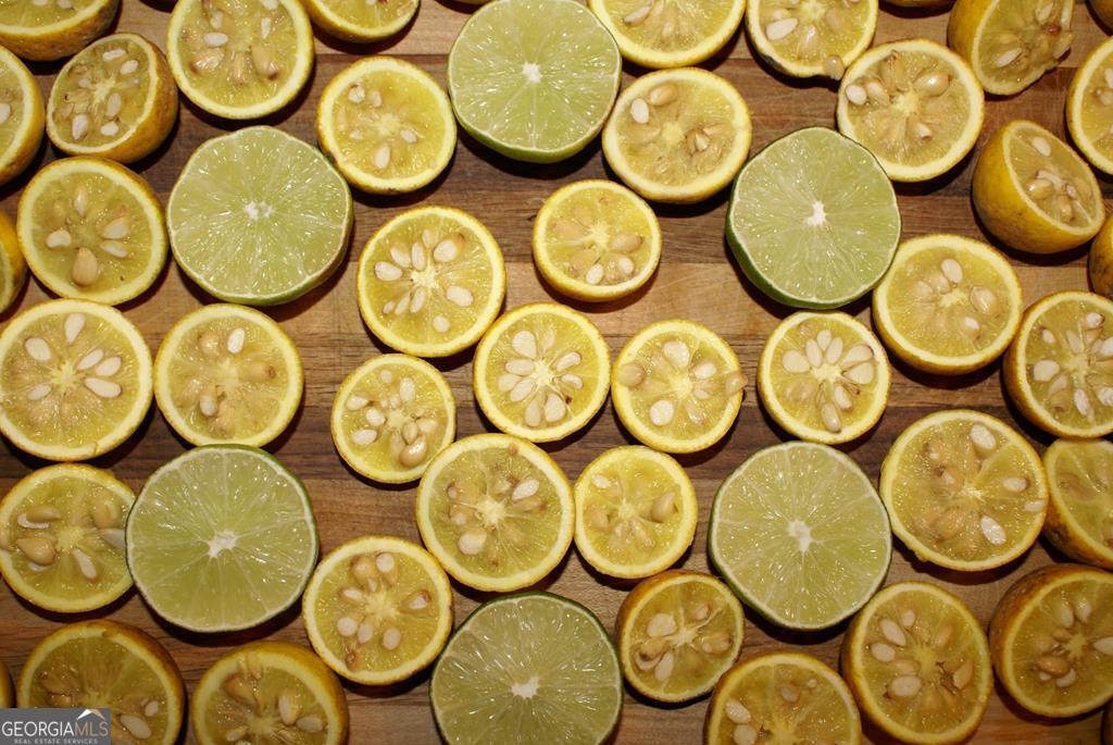 Cherry Log, Georgia, 30522, United States, 4 Bedrooms Bedrooms, ,5 BathroomsBathrooms,Residential,Active,1960146