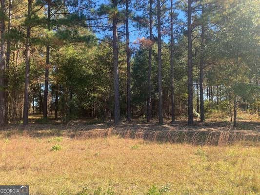 LOT 7 JENNY LYNN LANE, FORT GAINES, GA 39851 - Image 1