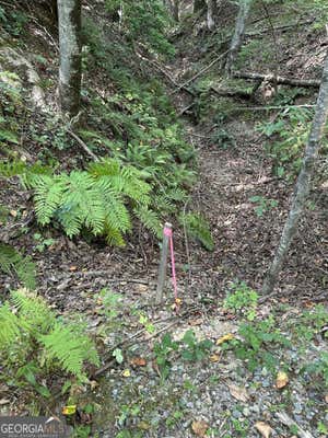 TRACT A FIELDER ROAD, ELLIJAY, GA 30536 - Image 1