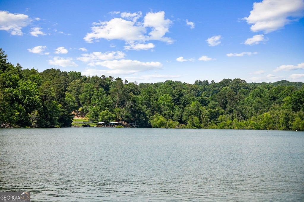 Morganton, Georgia, 30560, United States, 4 Bedrooms Bedrooms, ,3 BathroomsBathrooms,Residential,Pending,1859386