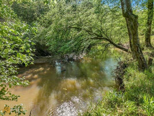 LOT 27-A-1 CREEKSIDE TRAIL, FORSYTH, GA 31029, photo 4 of 12