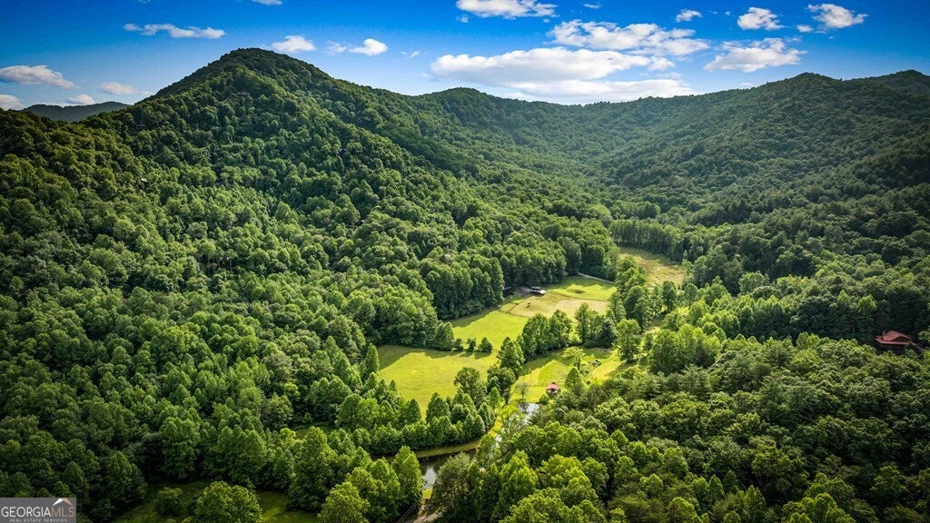 Blue Ridge, Georgia, 30513, United States, 3 Bedrooms Bedrooms, ,4 BathroomsBathrooms,Residential,Active,2008014