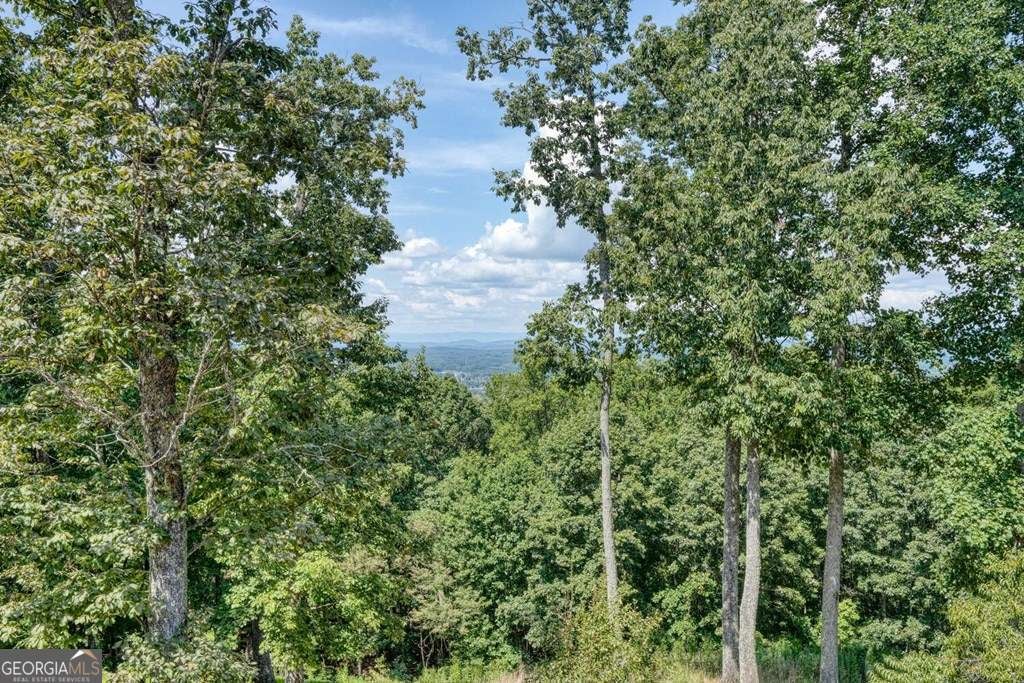 Blairsville, Georgia, 30512, United States, 4 Bedrooms Bedrooms, ,6 BathroomsBathrooms,Residential,Active,1936094