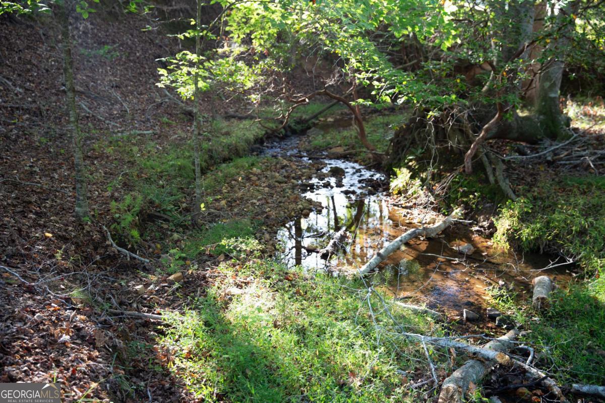 Ball Ground, Georgia, 30107, United States, 5 Bedrooms Bedrooms, ,6 BathroomsBathrooms,Residential,Active,1961923