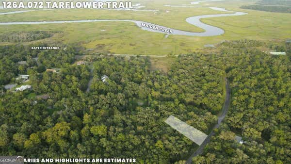 LOT 72 TAR FLOWER TRAIL, WAVERLY, GA 31565 - Image 1