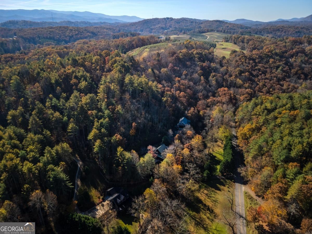 Blue Ridge, Georgia, 30513, United States, 4 Bedrooms Bedrooms, ,4 BathroomsBathrooms,Residential,Active,1990584