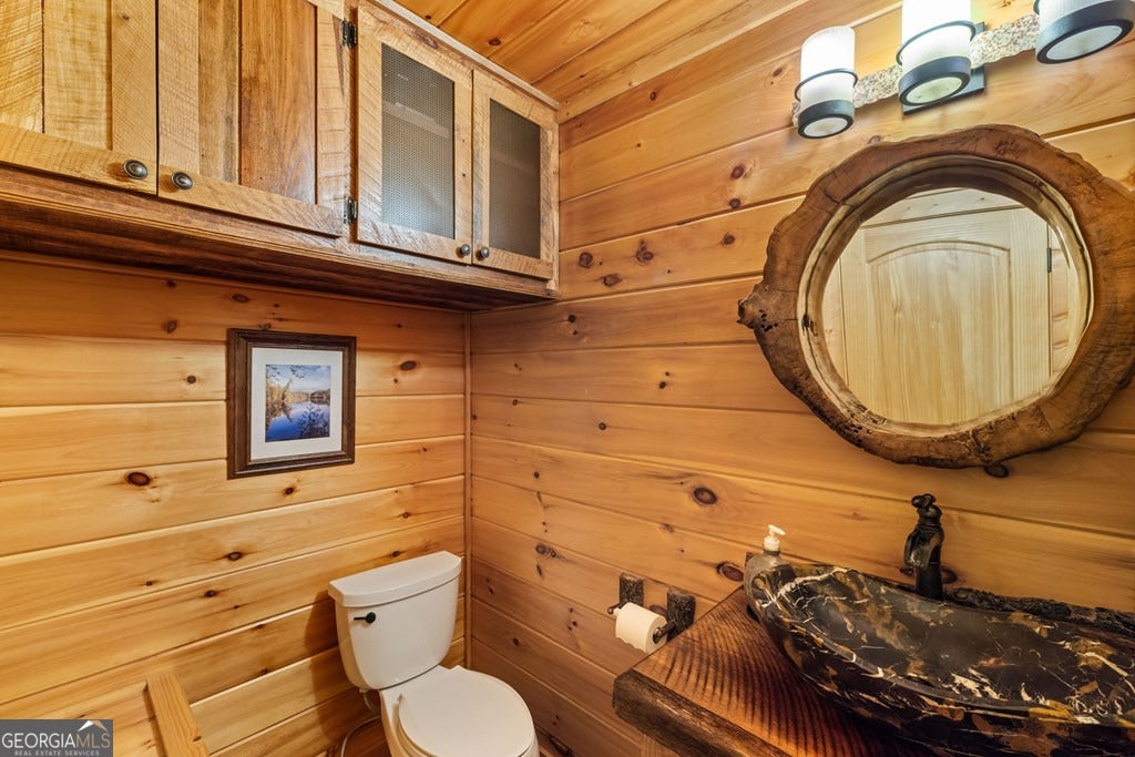 Mineral Bluff, Georgia, 30559, United States, 4 Bedrooms Bedrooms, ,5 BathroomsBathrooms,Residential,Active,2044577