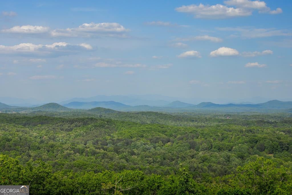 Mineral Bluff, Georgia, 30559, United States, 4 Bedrooms Bedrooms, ,5 BathroomsBathrooms,Residential,Active,2044577