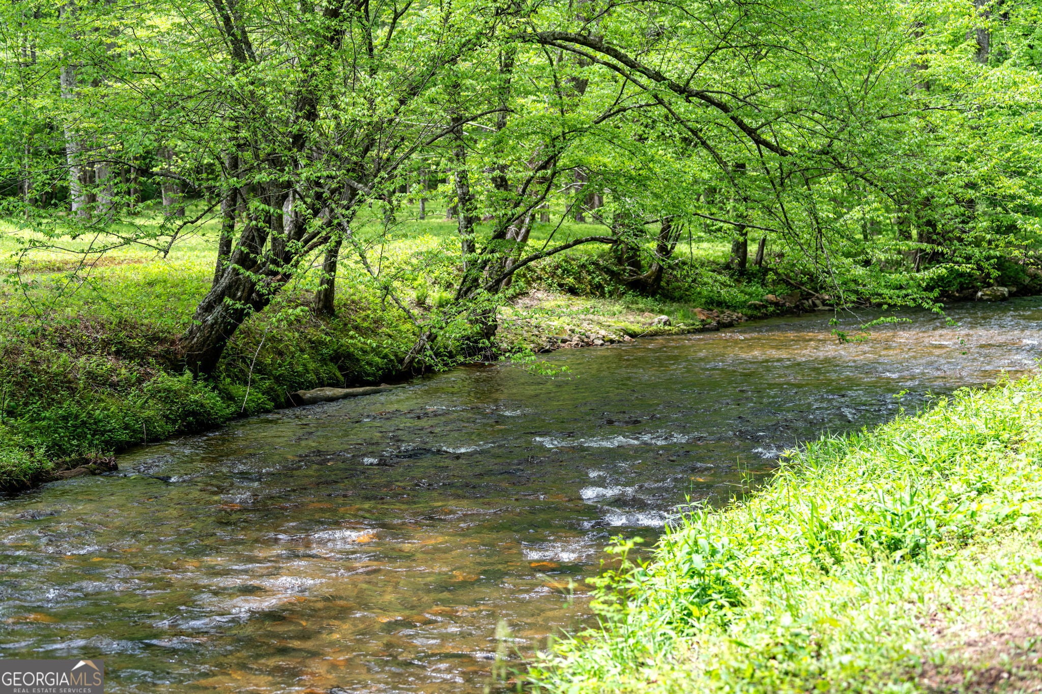 Ellijay, Georgia, 30536, United States, 3 Bedrooms Bedrooms, ,4 BathroomsBathrooms,Residential,Active,1968415