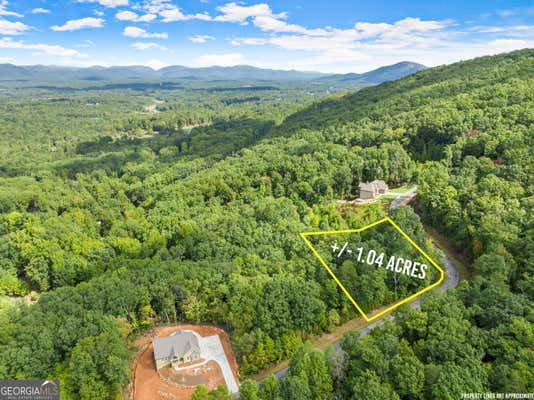 24 LONG MOUNTAIN TRL, CLEVELAND, GA 30528 - Image 1