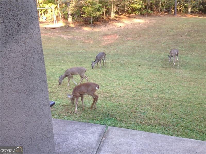 Suwanee, Georgia, 30024, United States, 7 Bedrooms Bedrooms, ,6 BathroomsBathrooms,Residential,Active,1990679