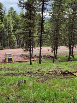 349 SECLUSION, SEELEY LAKE, MT 59868, photo 2 of 4