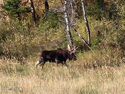 000 CHESTNUT ROAD, BOZEMAN, MT 59715 - Image 1