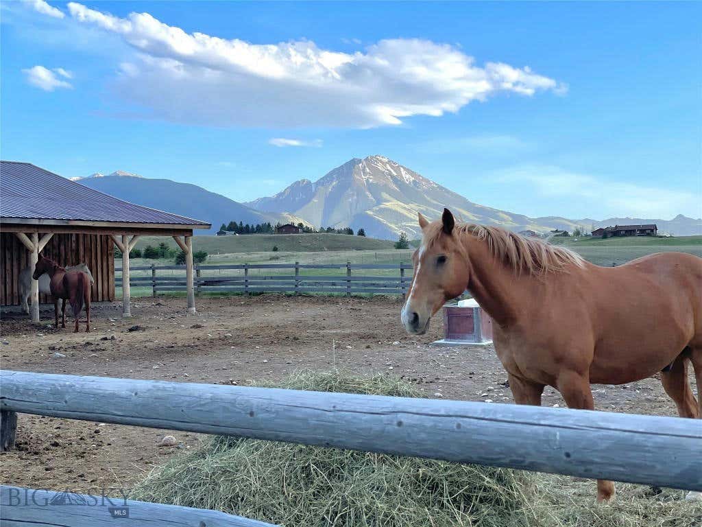 56 YELLOWSTONE TRL, PRAY, MT 59065, photo 1 of 60