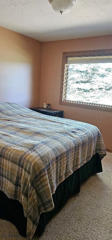 Ennis, Montana, 59729, United States, 4 Bedrooms Bedrooms, ,2 BathroomsBathrooms,Residential,Active,1849550