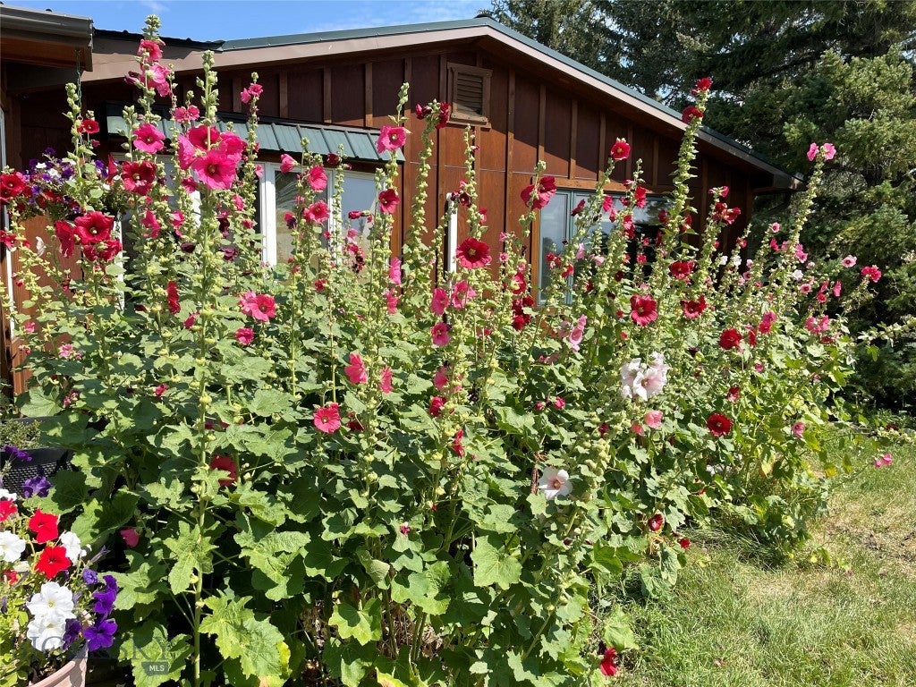 Ennis, Montana, 59729, United States, 4 Bedrooms Bedrooms, ,2 BathroomsBathrooms,Residential,Active,1849550