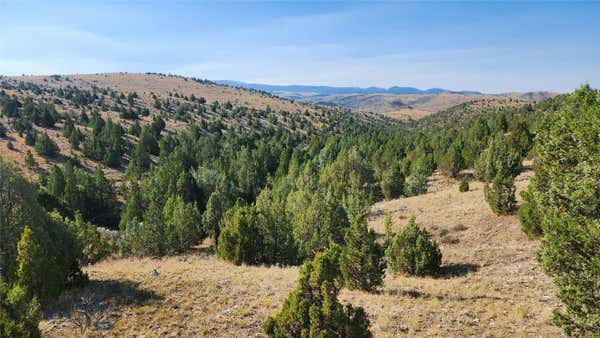 TRACT 7A LOWER WATER GULCH, VIRGINIA CITY, MT 59755 - Image 1