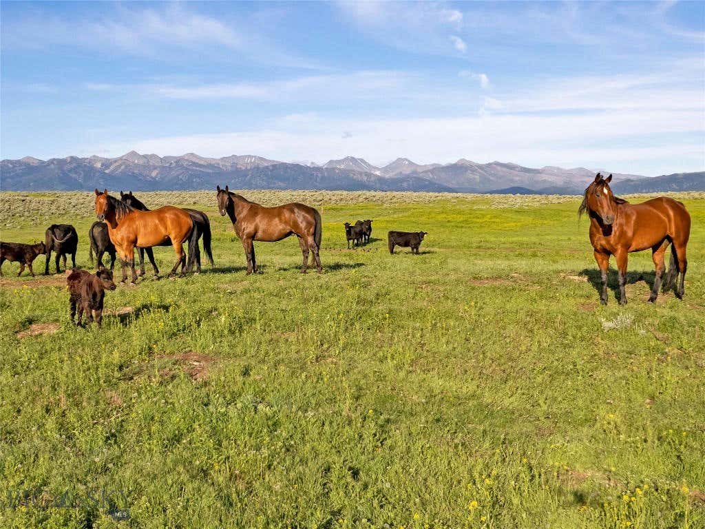 TBD ELK CREEK ROAD, WILSALL, MT 59086, photo 1 of 16