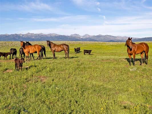 TBD ELK CREEK ROAD, WILSALL, MT 59086 - Image 1