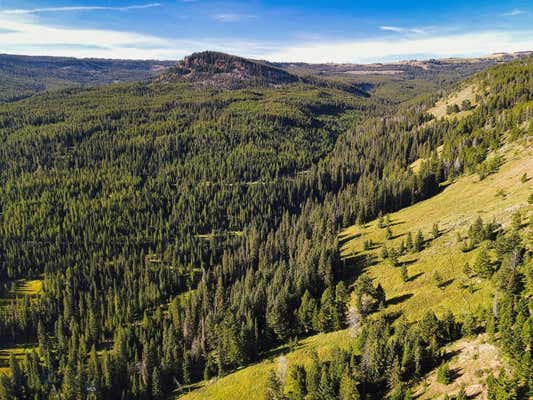 TBD UPPER BEAVER CREEK ROAD, BIG SKY, MT 59730 - Image 1