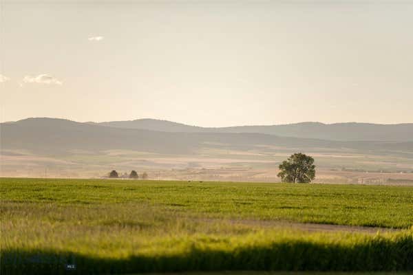 TBD PENWELL BRIDGE ROAD, BELGRADE, MT 59714, photo 4 of 31