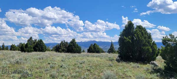 TRACT 2A THREE SPRINGS TRAIL, SHERIDAN, MT 59749 - Image 1