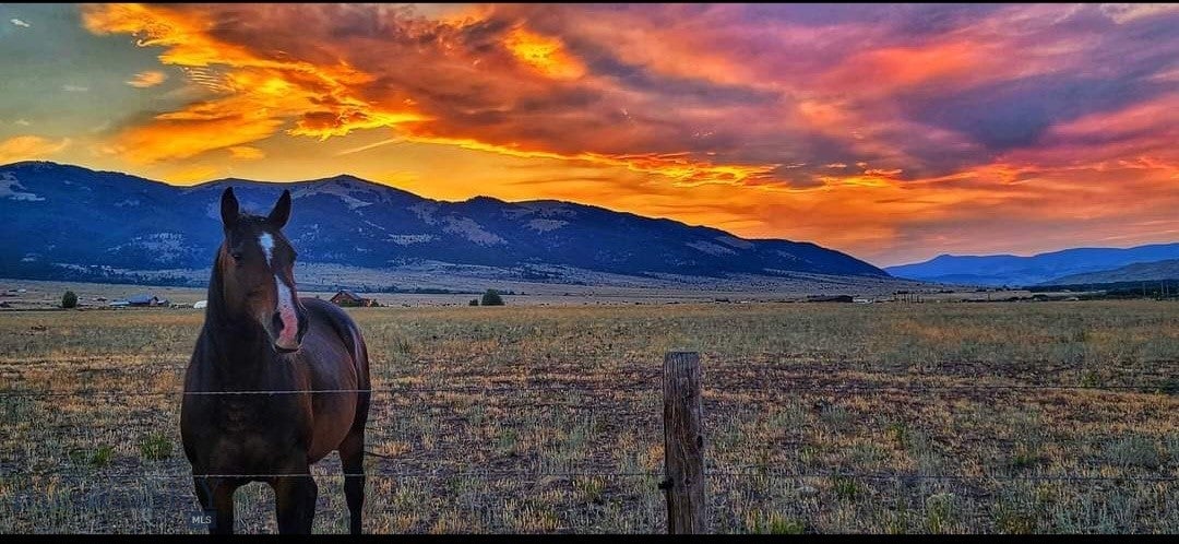 Boulder, Montana, 59632, United States, 5 Bedrooms Bedrooms, ,3 BathroomsBathrooms,Residential,Active,1909637