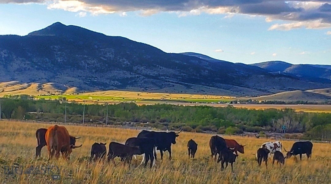 Boulder, Montana, 59632, United States, 5 Bedrooms Bedrooms, ,3 BathroomsBathrooms,Residential,Active,1909637