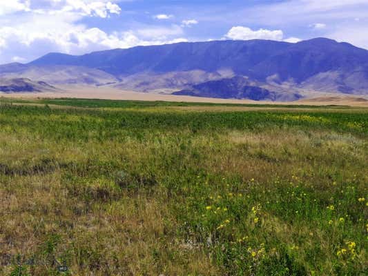 NHN STAGECOACH SPUR W # 935-6, BELFRY, MT 59008 - Image 1