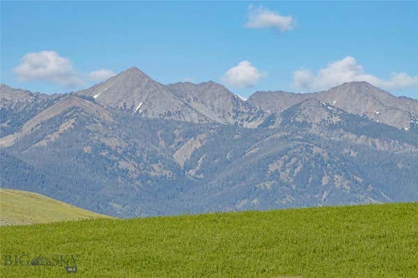 TBD ELK CREEK ROAD, WILSALL, MT 59086, photo 2 of 16