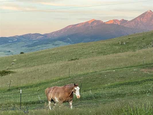 9 TUMBLEWEED TRL, LIVINGSTON, MT 59047 - Image 1