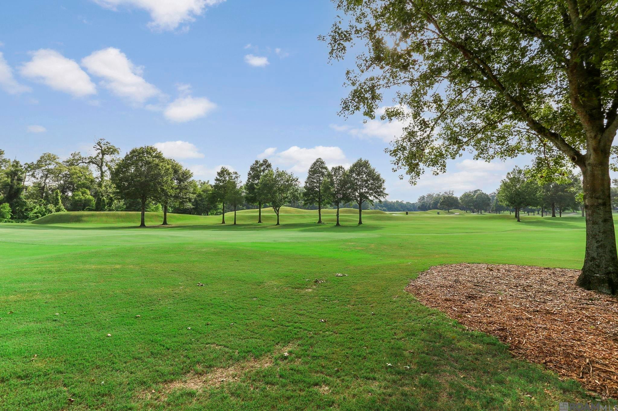 Baton Rouge, Louisiana, 70810, United States, 4 Bedrooms Bedrooms, ,5 BathroomsBathrooms,Residential,Active,1884866