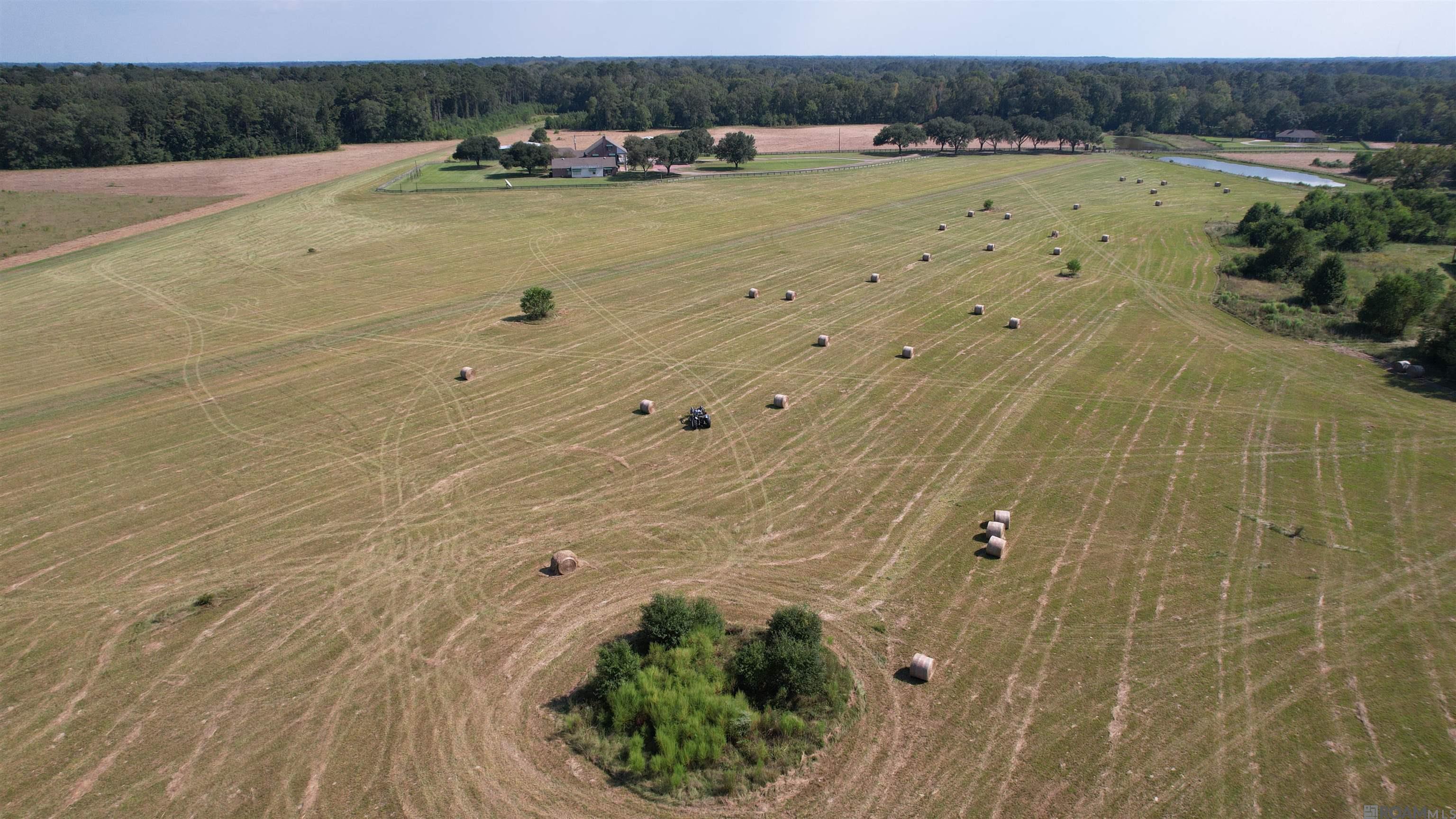 Central, Louisiana, 70770, United States, 5 Bedrooms Bedrooms, ,7 BathroomsBathrooms,Residential,Active,2008021