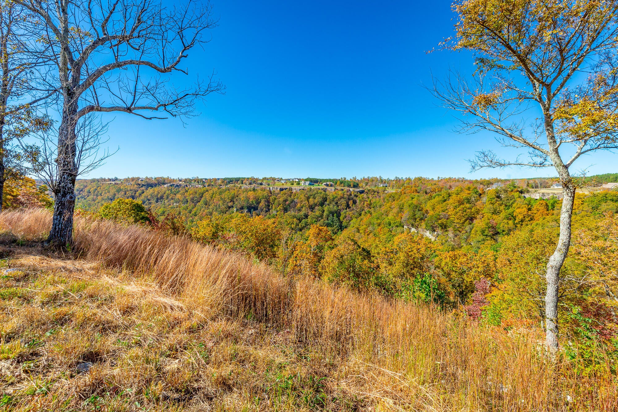 Jasper, Tennessee, 37347, United States, 3 Bedrooms Bedrooms, ,4 BathroomsBathrooms,Residential,Active,1987217