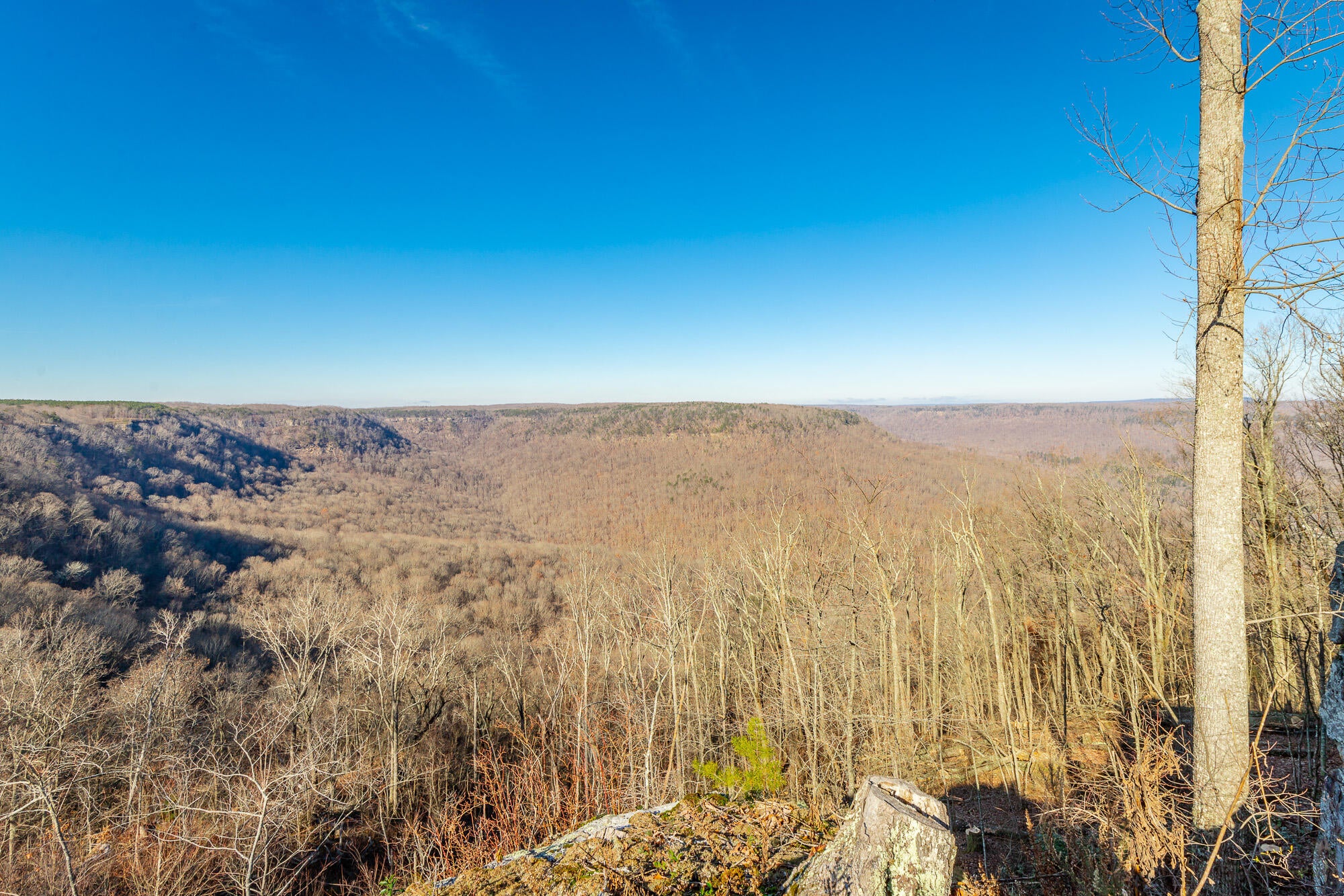 Jasper, Tennessee, 37347, United States, 3 Bedrooms Bedrooms, ,3 BathroomsBathrooms,Residential,Active,2002330