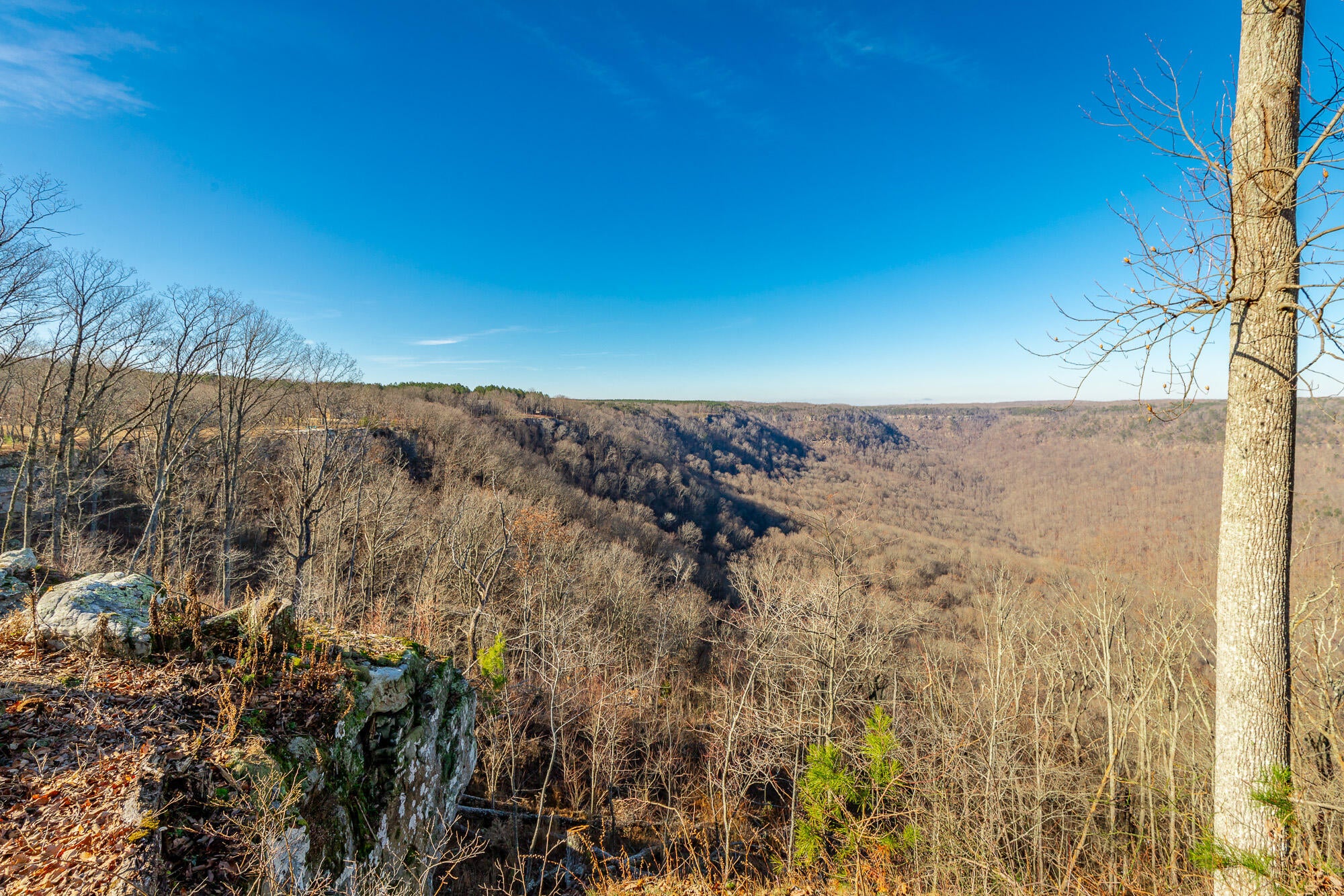 Jasper, Tennessee, 37347, United States, 3 Bedrooms Bedrooms, ,3 BathroomsBathrooms,Residential,Active,2002330