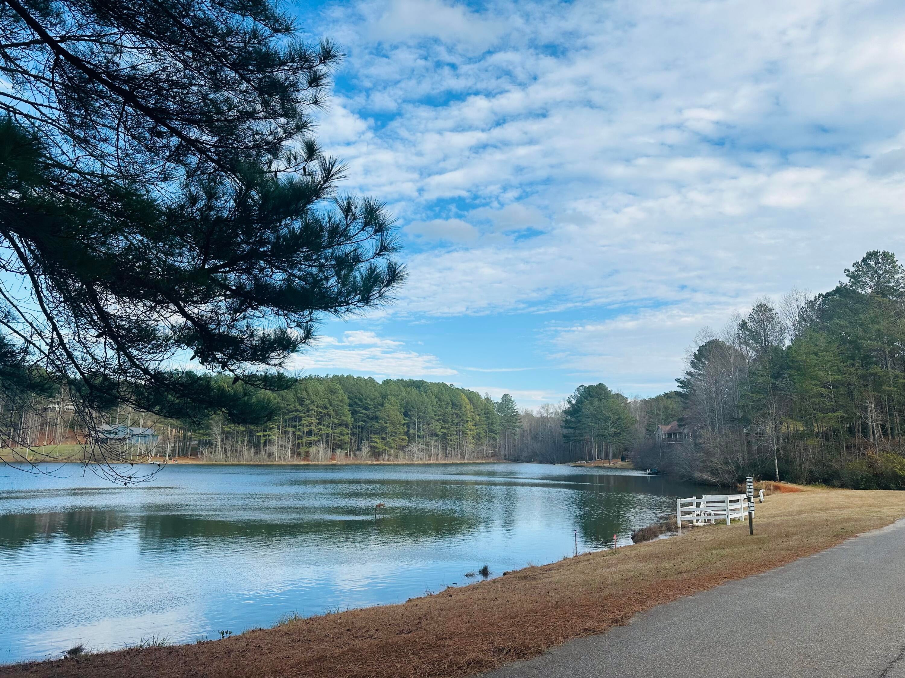 Cleveland, Georgia, 30528, United States, ,4 BathroomsBathrooms,Residential,Active,1770146