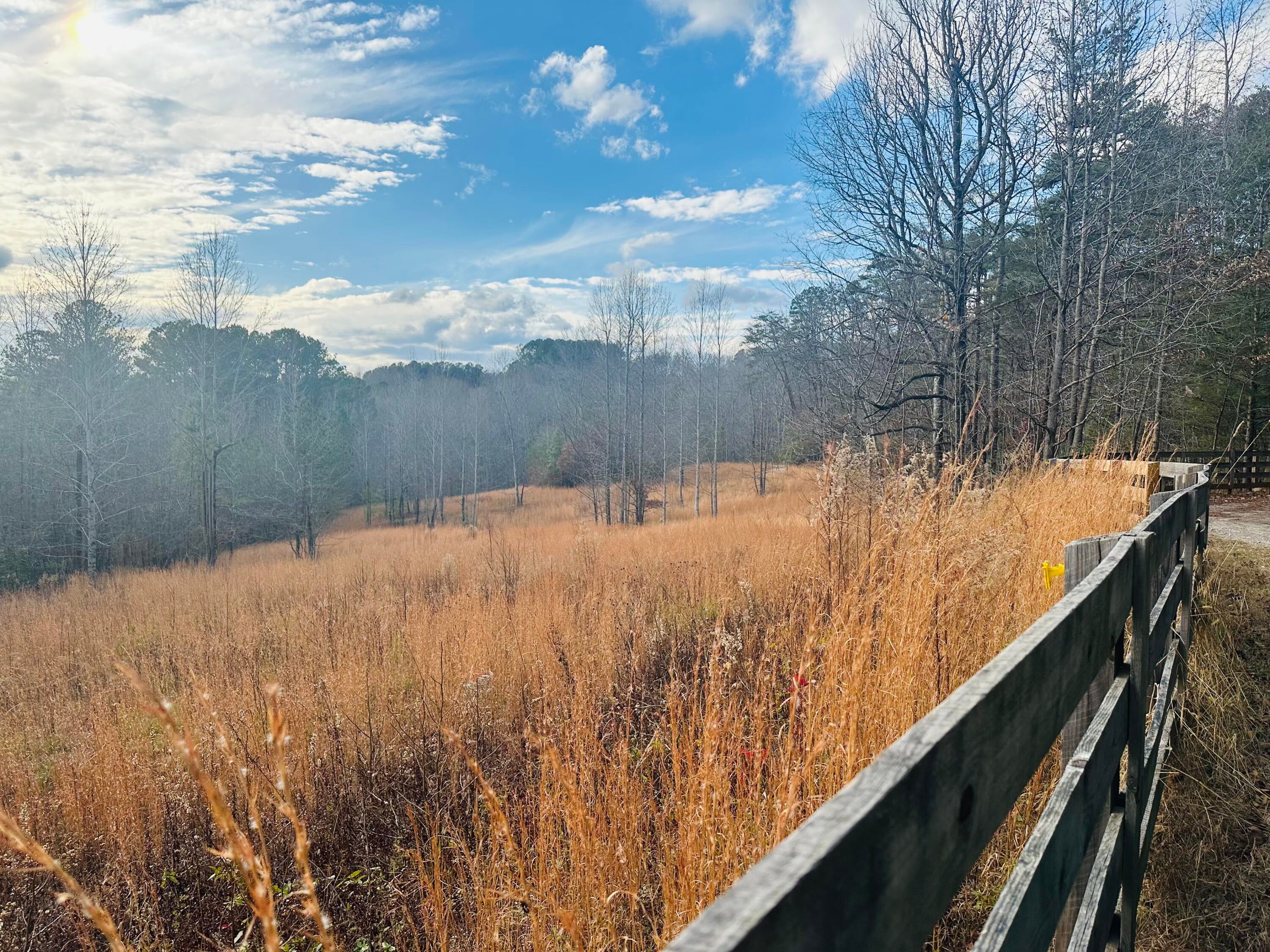 Cleveland, Georgia, 30528, United States, ,4 BathroomsBathrooms,Residential,Active,1770146