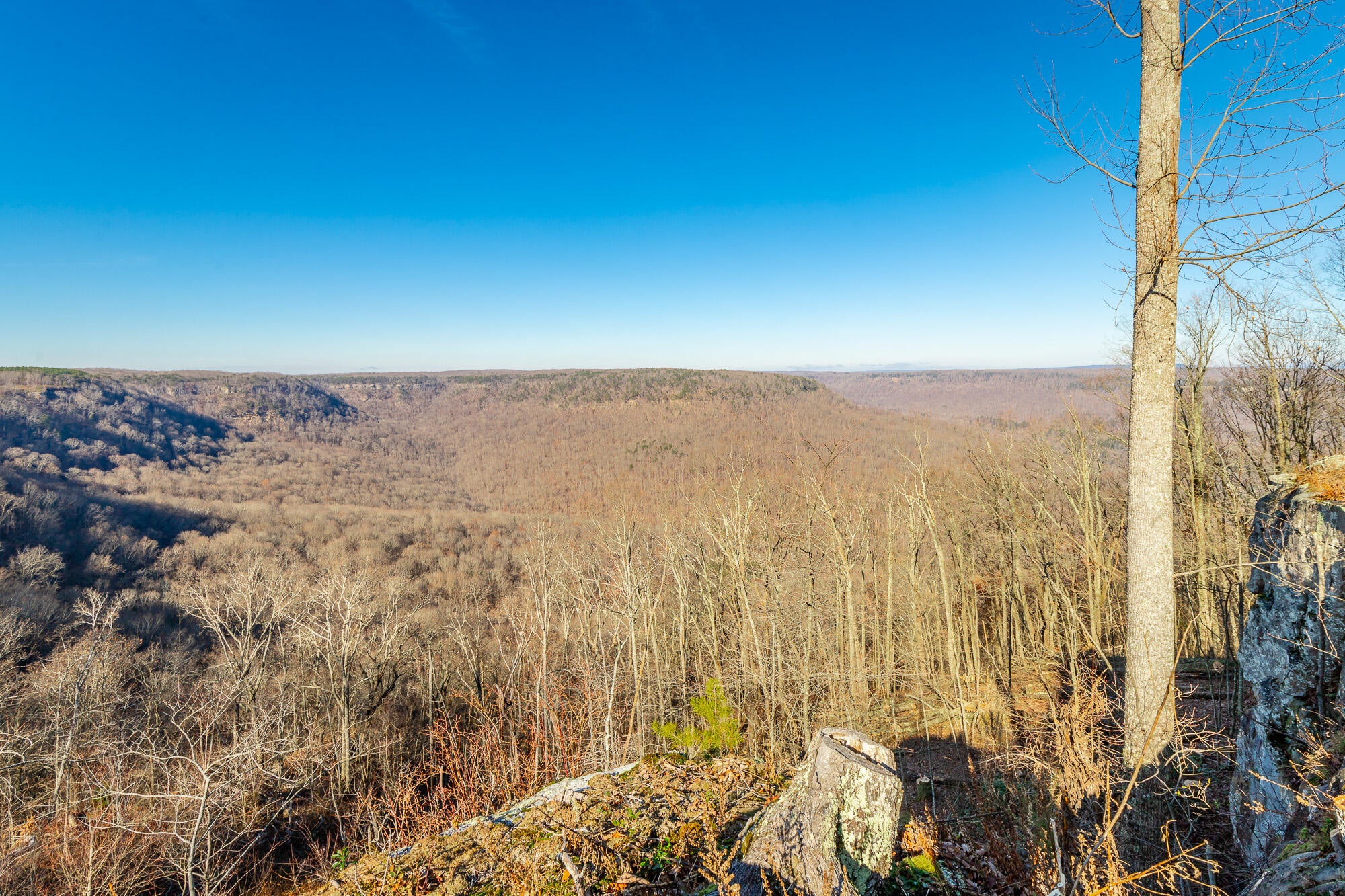 Jasper, Tennessee, 37347, United States, 3 Bedrooms Bedrooms, ,3 BathroomsBathrooms,Residential,Active,2002330