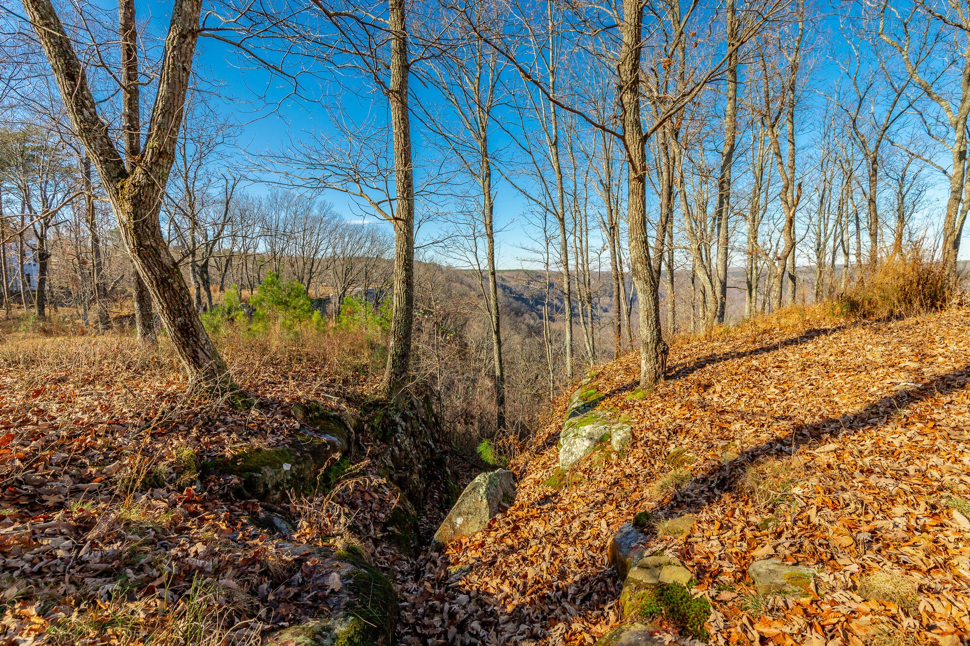 Jasper, Tennessee, 37347, United States, 3 Bedrooms Bedrooms, ,3 BathroomsBathrooms,Residential,Active,2002330