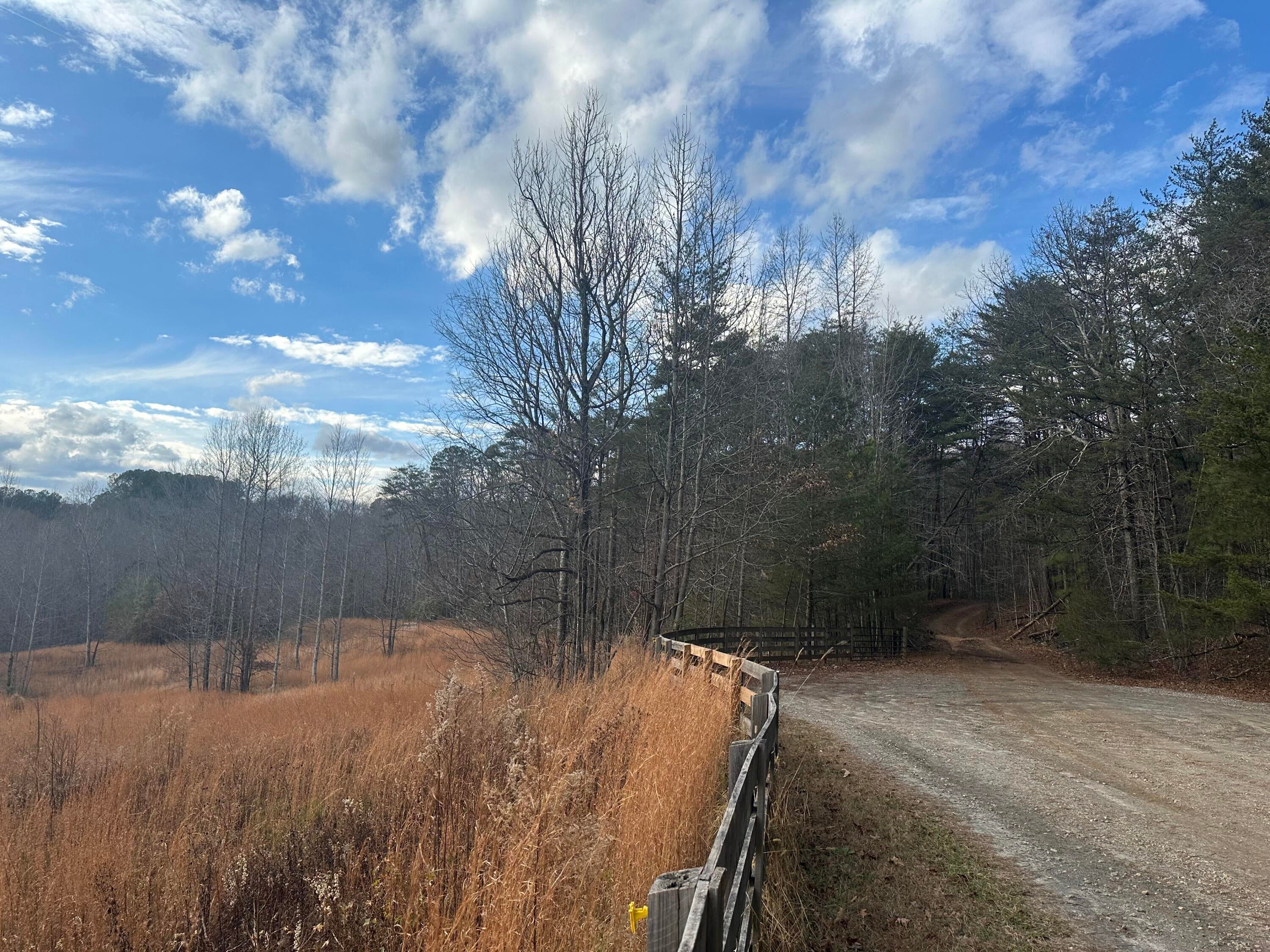 Cleveland, Georgia, 30528, United States, ,4 BathroomsBathrooms,Residential,Active,1770146