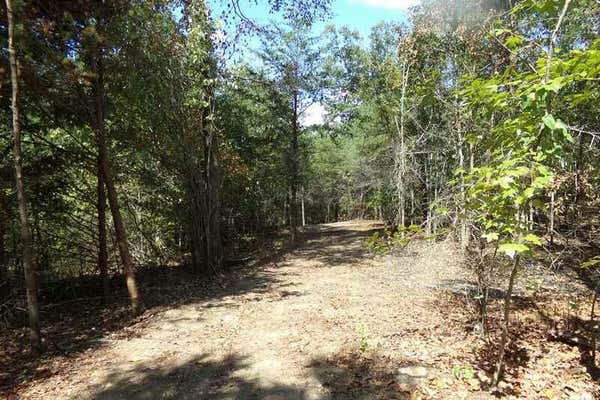 0 HUNTER TRAIL, TRENTON, GA 30752 - Image 1