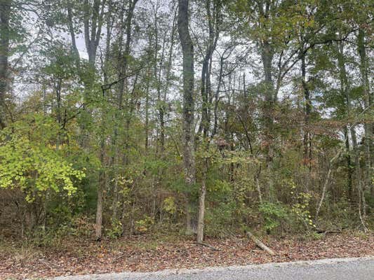 4.6 ACRE COUNTY ROAD 309, BRYANT, AL 35958 - Image 1