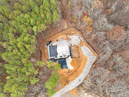 4545 SPLIT RAIL WAY, GUILD, TN 37340, photo 3 of 9