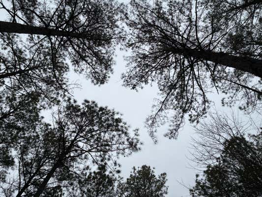 3715 SPLIT RAIL WAY, GUILD, TN 37340, photo 1 of 41