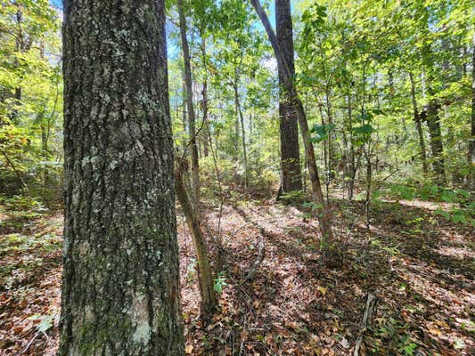 LOT 17 WHITETAIL DRIVE, MENTONE, AL 35984 - Image 1