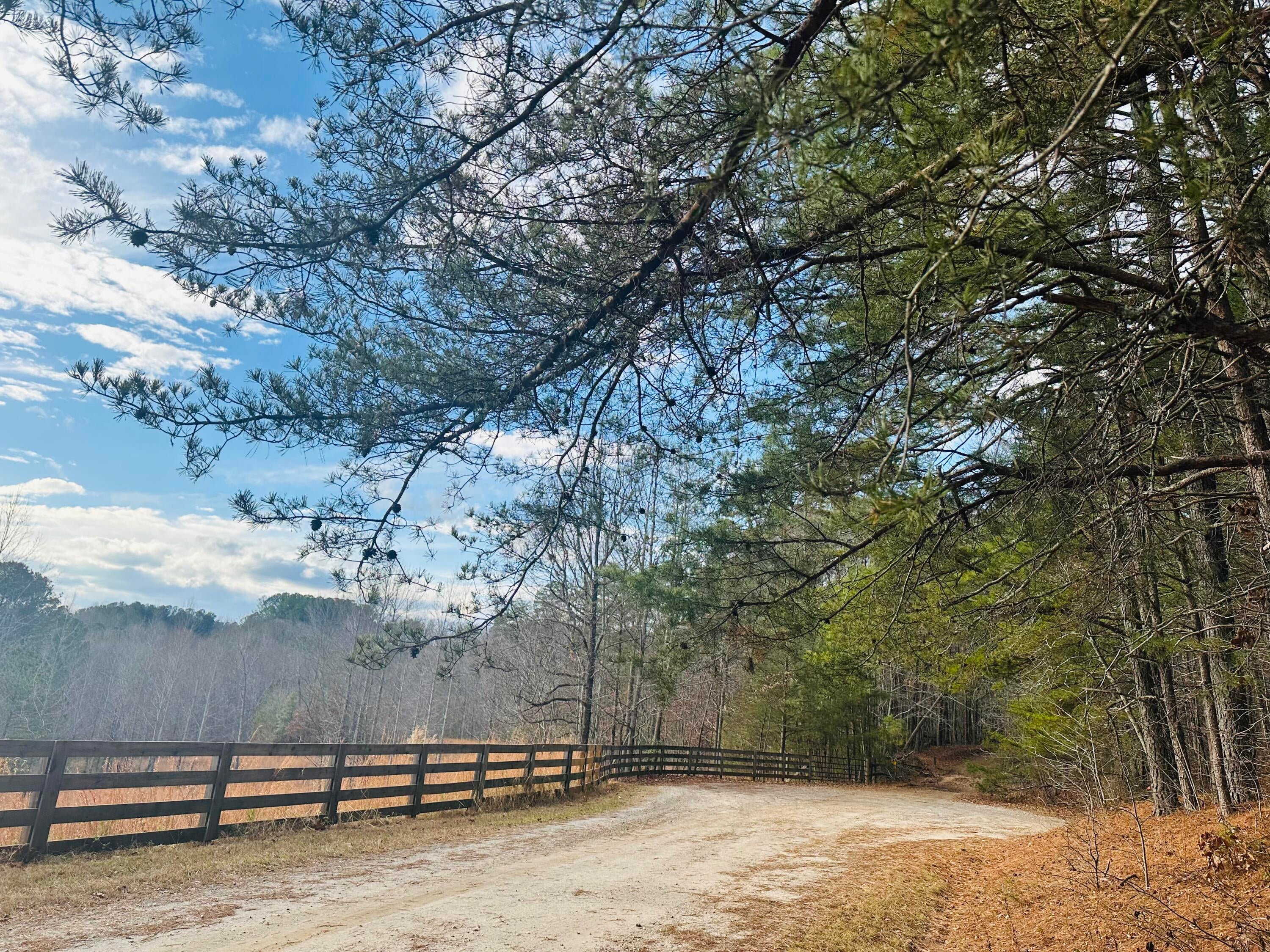 Cleveland, Georgia, 30528, United States, ,4 BathroomsBathrooms,Residential,Active,1770146