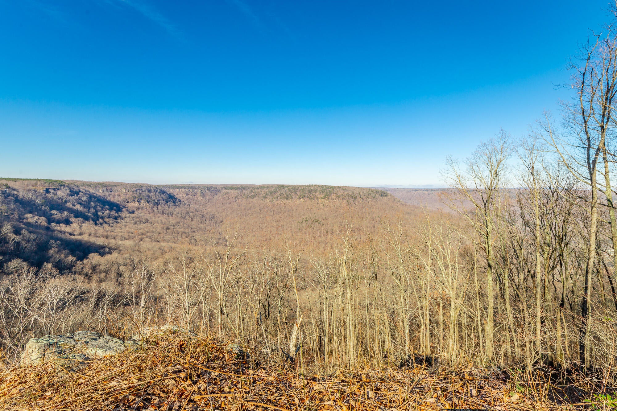 Jasper, Tennessee, 37347, United States, 3 Bedrooms Bedrooms, ,3 BathroomsBathrooms,Residential,Active,2002330