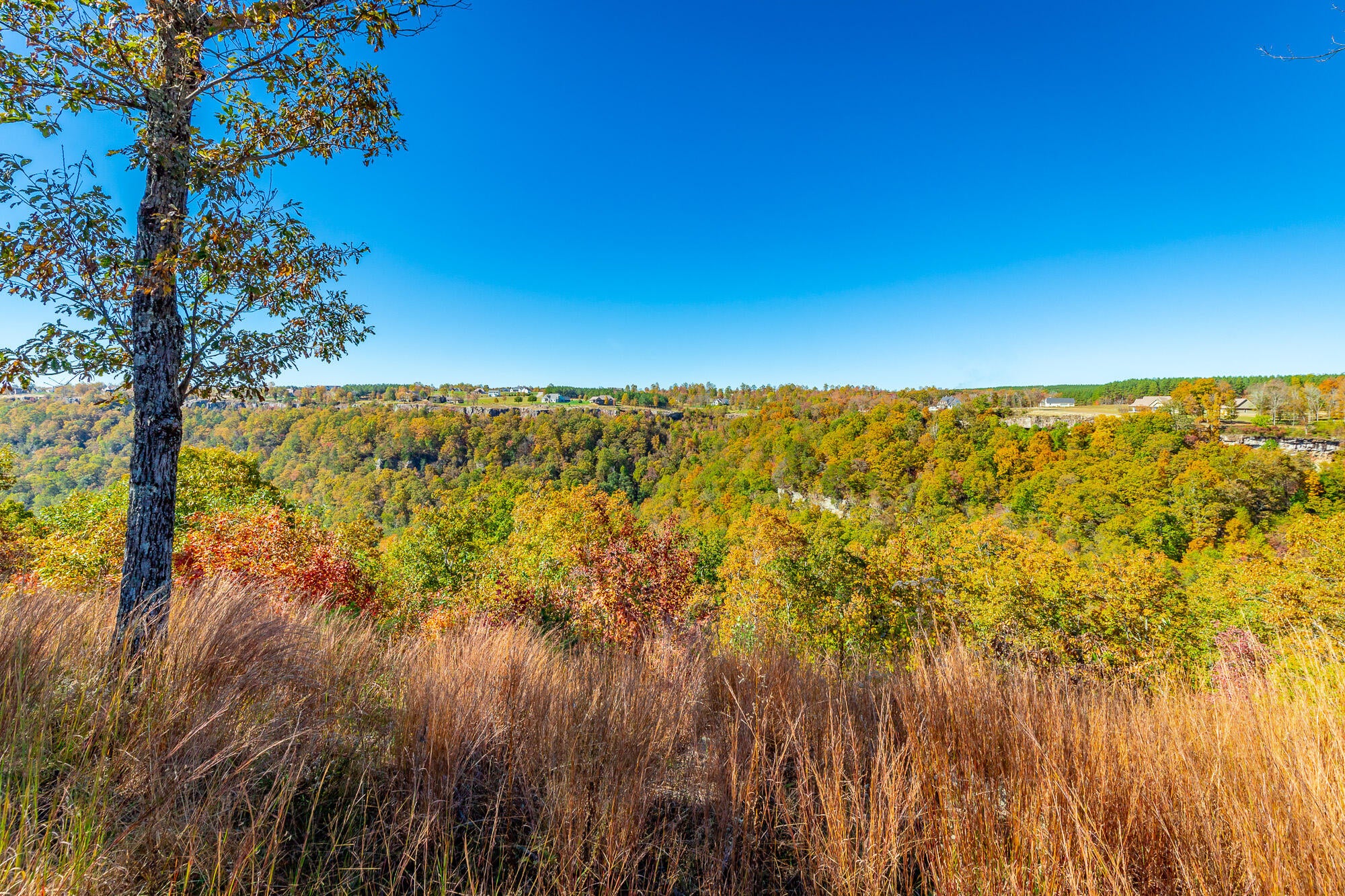 Jasper, Tennessee, 37347, United States, 3 Bedrooms Bedrooms, ,4 BathroomsBathrooms,Residential,Active,1987217