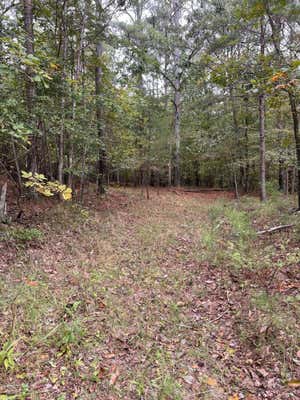 0 COUNTY ROAD, MENTONE, AL 35984 - Image 1